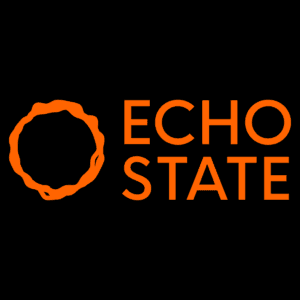 Echo State